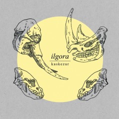 Ilgora