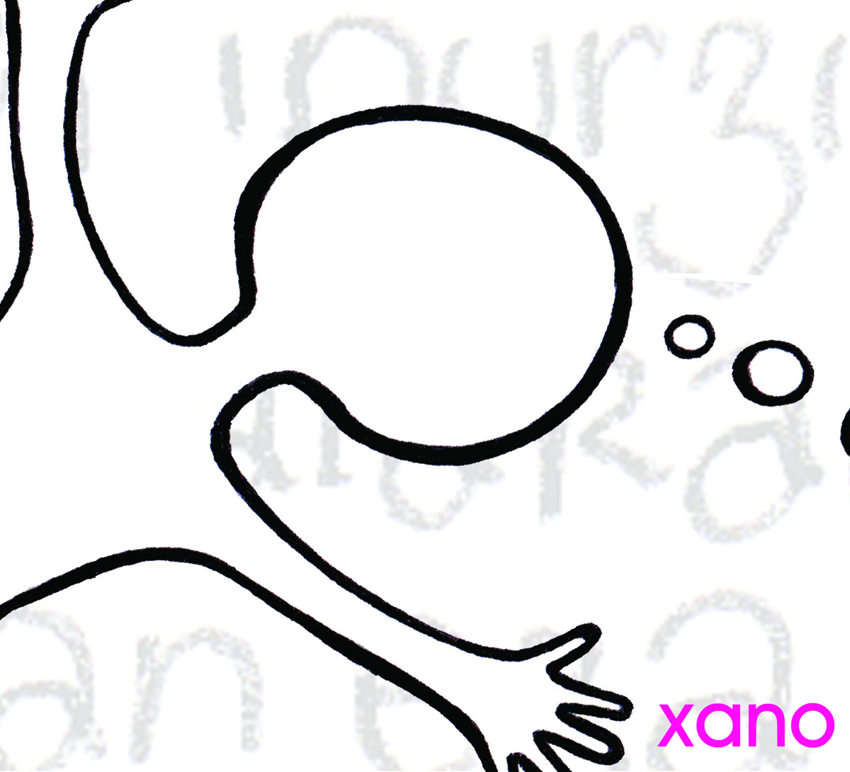 Xano