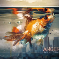 Captura de pantalla 2014-11-17 a la(s) 11.26.31