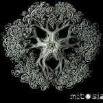 Meiosia