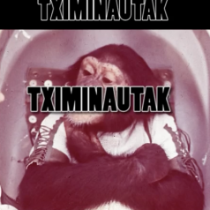 Tximinautak