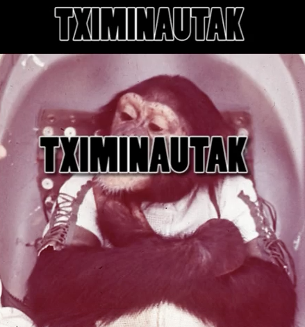 Tximinautak