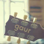 Gaur