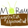 Morau azala