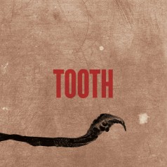 Tooth