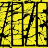 zozo azala
