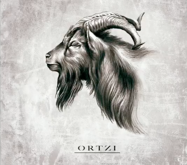 Ortzi