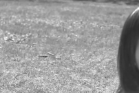 Captura de pantalla 2020-06-23 a las 08.29.45