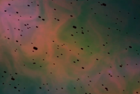 Captura de pantalla 2020-11-05 a las 10.19.18