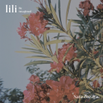 lili (reimagined)