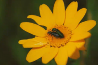 Captura de pantalla 2020-11-20 a las 12.55.15