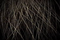 Captura de pantalla 2021-02-11 a las 06.36.43