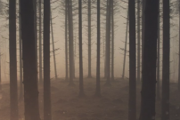 Captura de pantalla 2021-12-15 a la(s) 08.47.31