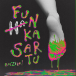 Funka sartu