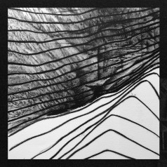 Burrundaria - Bi burrundara