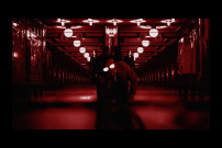 Seiurte - Neoizko kaleetan