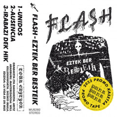Flash