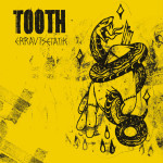 25_Tooth