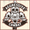 36_Agressive combat