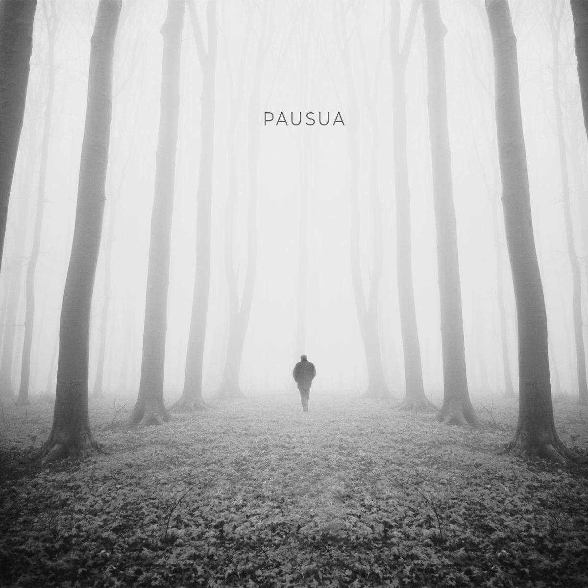 Pausua