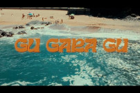 Gu gara gu