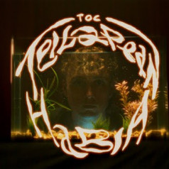 TOC