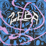 zeba-diiskoa