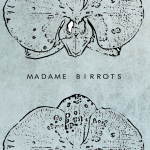 Birrotxak