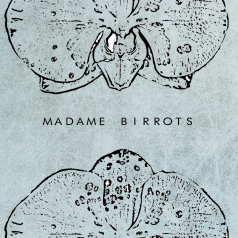 Birrotxak