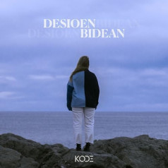 Desioen bidean