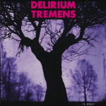 Delirium-Tremens-Kafe-usain-hura