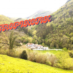 Tropikotik