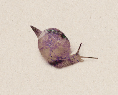 Xendra