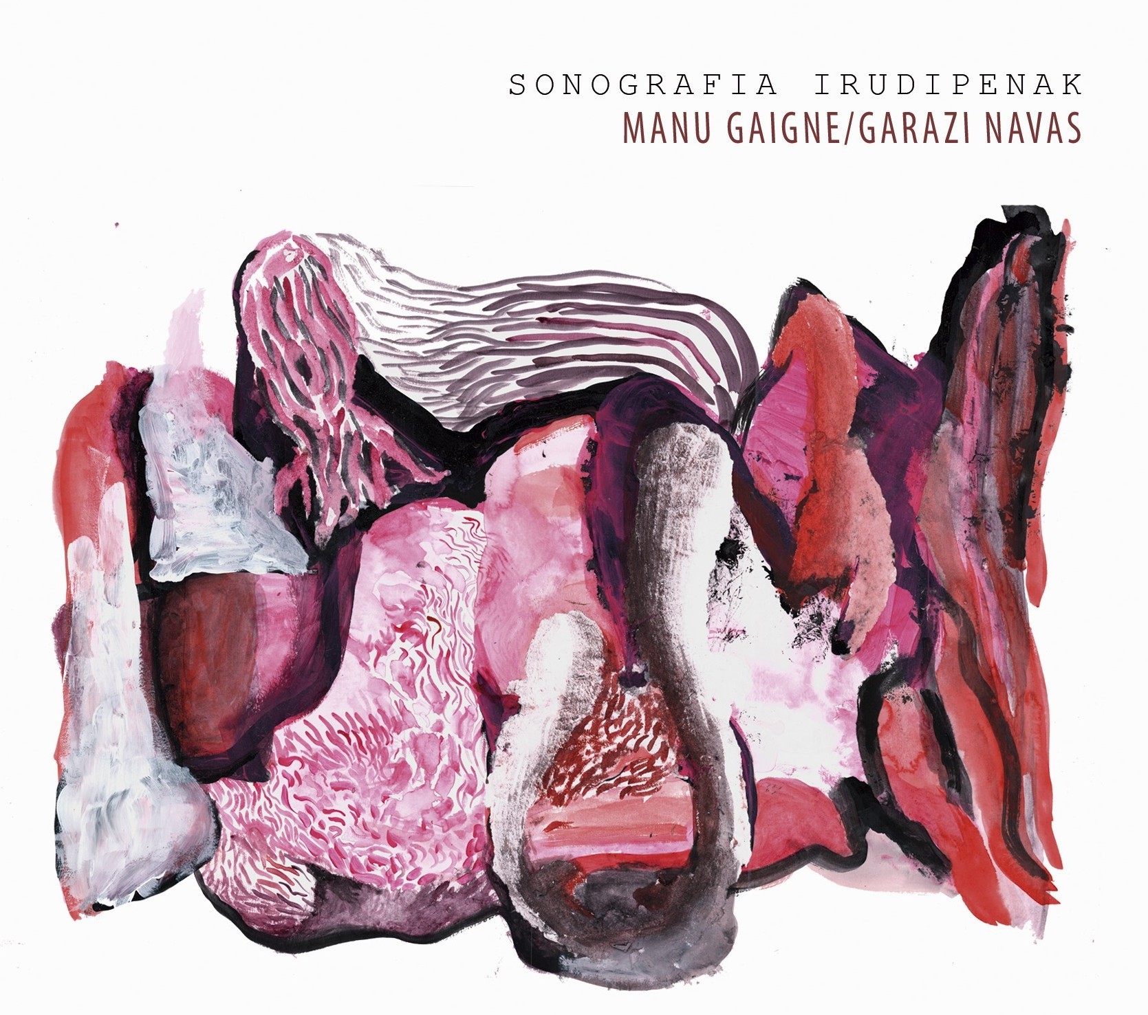 Sonografia. Irudipenak