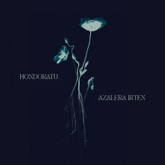 Hondoratu eta azalera irten