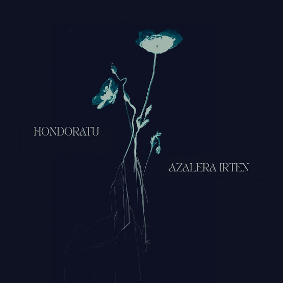 Hondoratu eta azalera irten