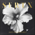 Kantu madarikatuak II