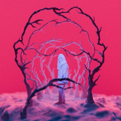 Bide ilunek argitzen zuten dena