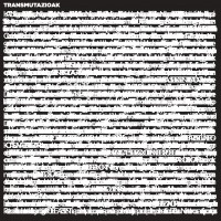 Pochette TRANSMUTAZIOAK (1)