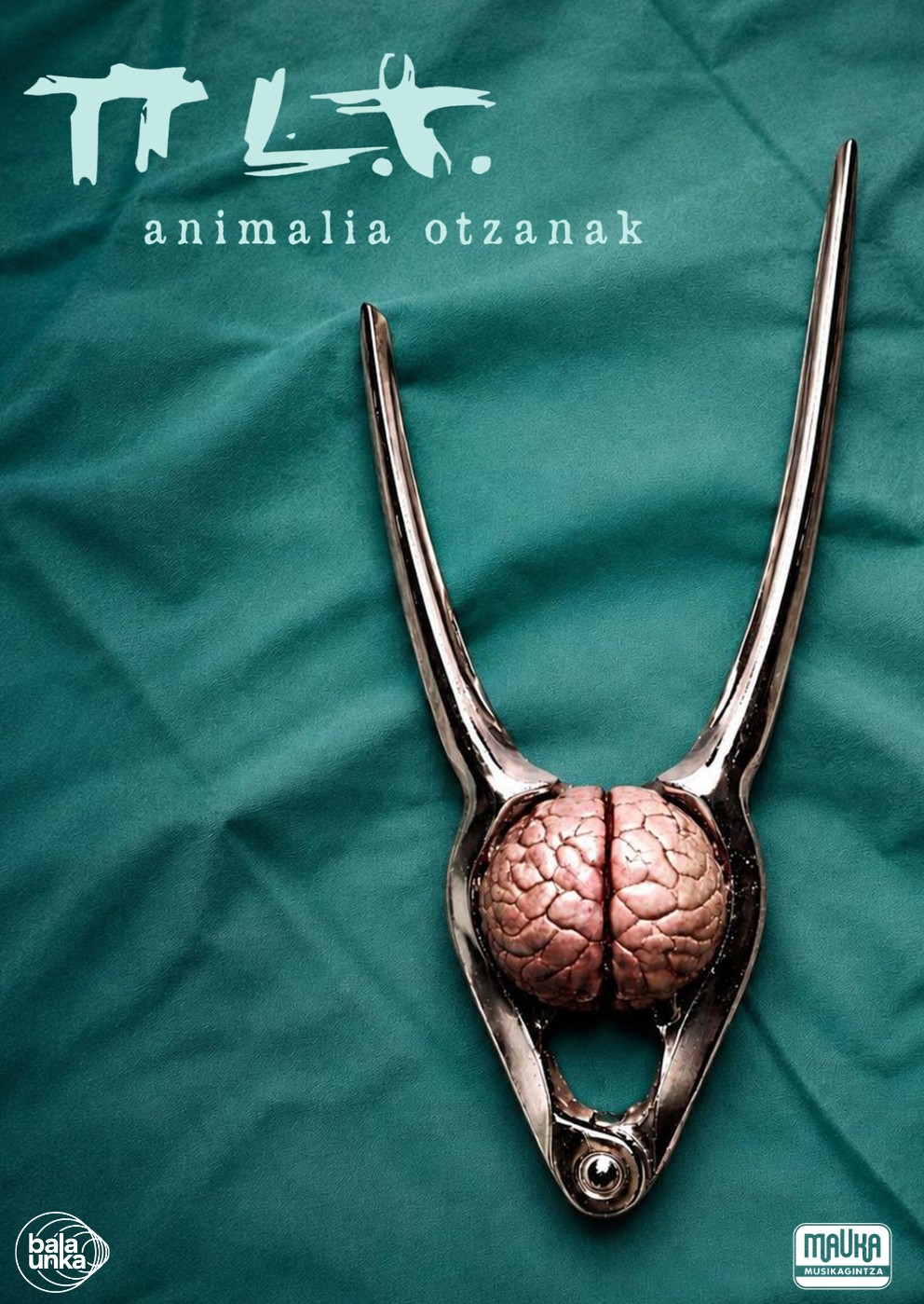 Animalia otzanak