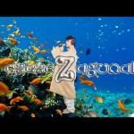 AimarZ - Ezezezagunak