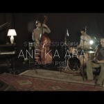 Aneika Ara - Zaldien Posta (Stereosessions #14)