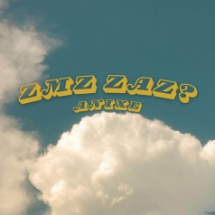 Zmz zaz? (SG-DG)