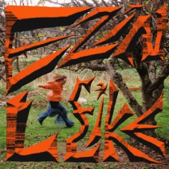 Ezin leike (SG-DG)